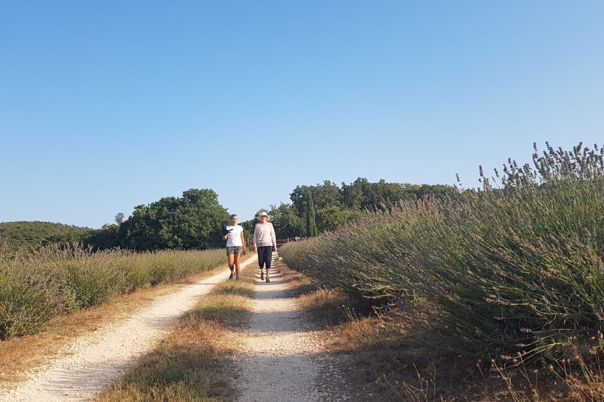 silent walk for detox yoga in countryside